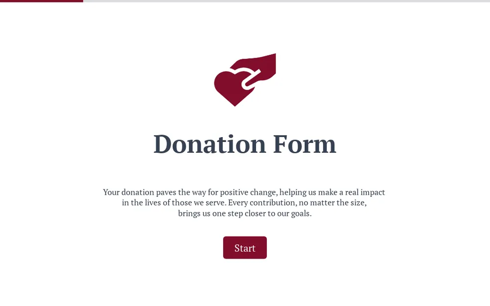 Donation Form Template template preview