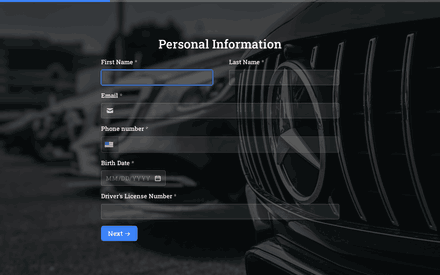 Driver's Details form page preview