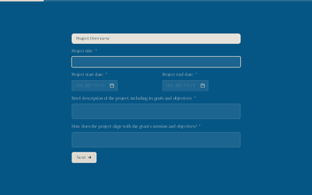 Project Overview form page preview