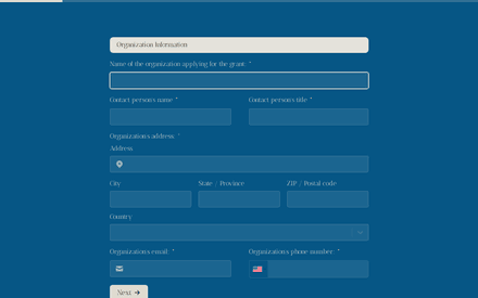 Org Info form page preview