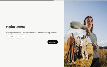 Replacement form page preview