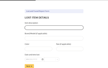 Lost Details form page preview