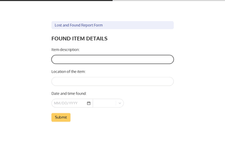 Found Details form page preview
