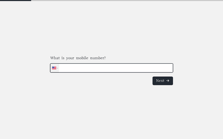 Number form page preview