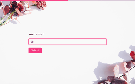 Email form page preview