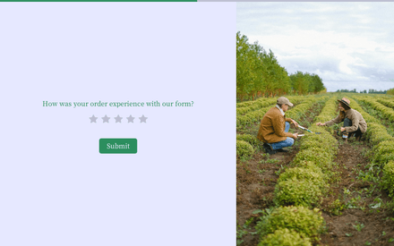 Feedback form page preview