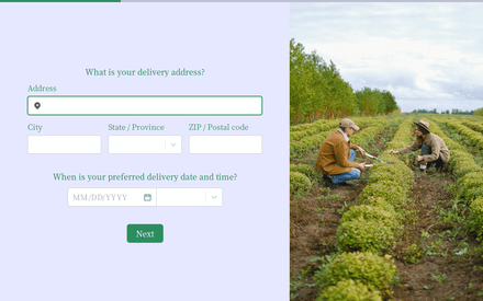 Delivery form page preview