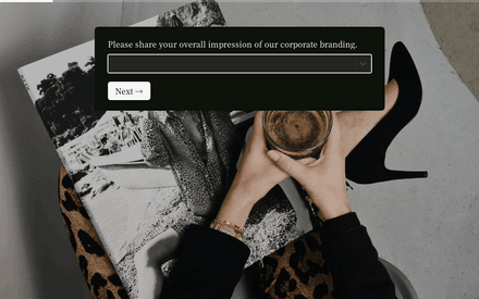 Overall form page preview