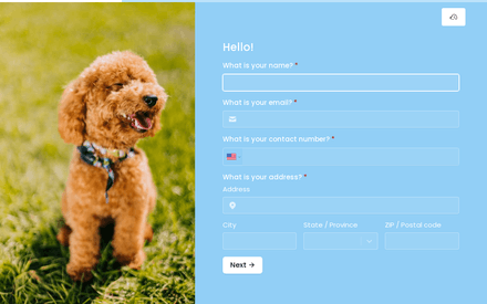 Customer Info form page preview
